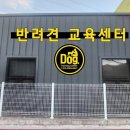 DOG.(독점) | 양산 애견호텔 독점 업체 정보 후기