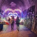 삼랑진권 투어 이미지