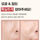 자아연