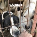 민영농장 이미지