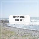 재단법인 울산관광재단 | 울산관광택시 실제 탑승 및 자유 여행 코스 후기