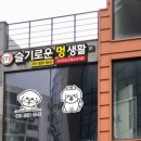 슬기로운 멍생활 이미지