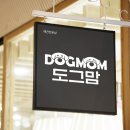 도그맘 이미지