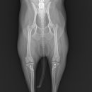 (주)쿨펫 이미지