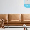 디자인바움
