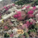 사람이 그리워서 홍 네이버블로그