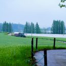 라온뜨락 이미지