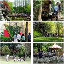 상봉동-033 이미지