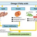 오메가 3지방산 Omega-3 Fatty Acids에 대한 최신 논문 - 번역해야.... 이미지