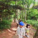 민오름으로 숲놀이 다녀왔어요 ⛰️ 이미지