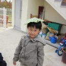 천사들의 먹거리 이미지