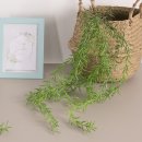 로즈마리플라워 이미지