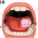 지웰비타민약국 이미지