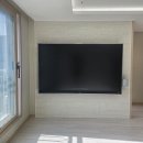 블루시티트리가 이미지