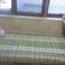 주식회사더빌딩부동산중개법인강남 이미지