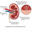 한가람동물의료센터 이미지