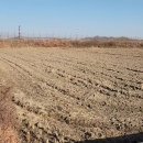 토지대장공인중개사사무소 이미지