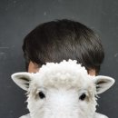 더스타일 | 문정동미용실 더식스 바버샵 후기 가일스타일 커트 다운펌 만족