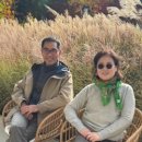 (주)주일건설 이미지