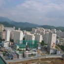 조선옥미용실 | 봉선지구