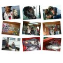 해원호 | 인천배낚시/인천바다낚시 해광유선