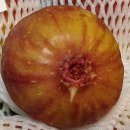 호정농장 이미지