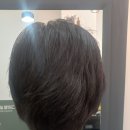 그리팅살롱