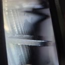 계룡호스릴-23 | 퇴계원 평내 에바클리닝 니로, 냄새의 원인을 내시경으로 정밀 타격하여 해결한 리얼 후기