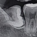 고웰치과의원 이미지