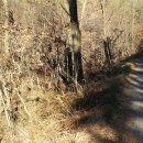 가나안농장2 이미지