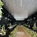 한사이언스 | 센텀사이언스파크 웨딩홀 리뉴얼 더스카이홀 방문후기