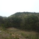 가곡삼거리 이미지