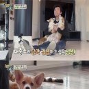 여우야늑대야 이미지