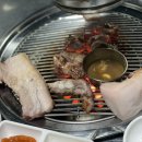 채돈이 이미지