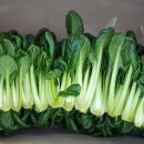 정주네농장 이미지