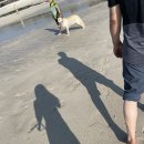 곽지농수산