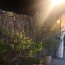 고븐달 제주 이미지