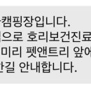 노을빛바다캠핑장B 네이버블로그