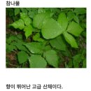 청옥민박