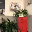 프라하동물병원 이미지