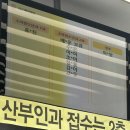 김효정소아과의원 | 쉬즈메디병원 아주대병원 사경 사두 단두 진료부터 오쏘코리아 헬멧까지(+오쏘코리아 추천인코드)