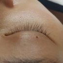 신정초 사거리(4) 이미지