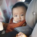 댕이맘마 이미지