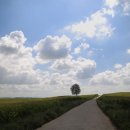 보리목장 이미지