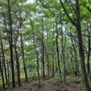 미비마을회관 이미지