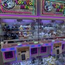 미니돌 강남 이미지