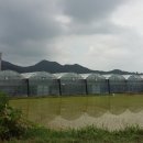 시암농장 이미지