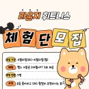 스트롱GX | 헬스장] 🎉제1기 체험단 모집!🎉/라운지휘트니스/운양동 PT/스피닝/에어로빅/GX/필라테스/운양동헬스장
