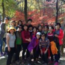 해오름농장-3 이미지