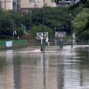 온천천일대11 이미지